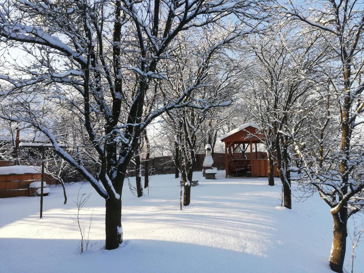 Drevenica Silvia Villa Liptovsky Mikulas Luaran gambar